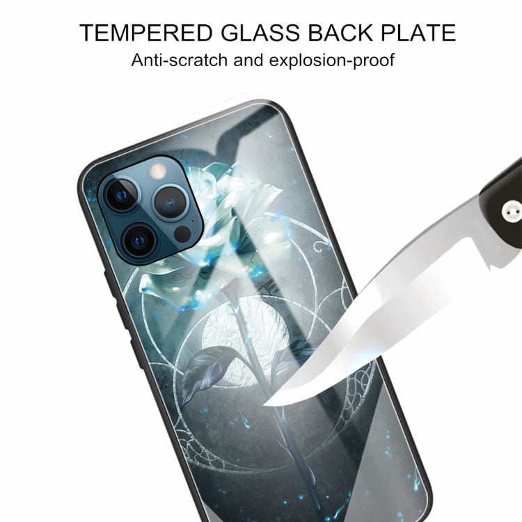 For iPhone 13 Pro Colorful Painted Glass Shockproof Protective Case