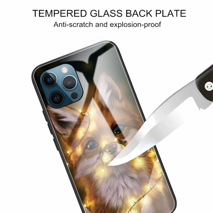 For iPhone 13 Pro Colorful Painted Glass Shockproof Protective Case