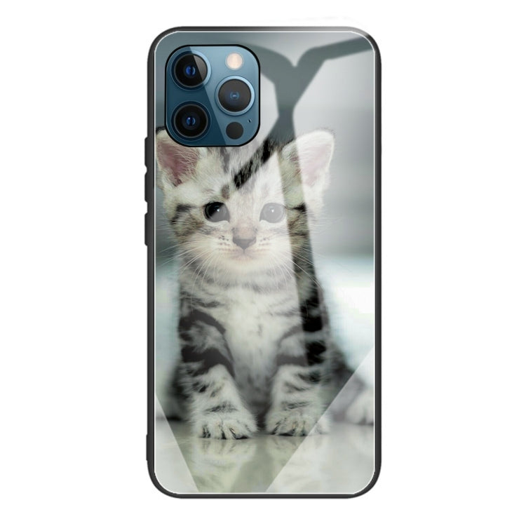 For iPhone 13 Pro Colorful Painted Glass Shockproof Protective Case