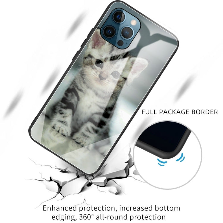 For iPhone 13 Pro Colorful Painted Glass Shockproof Protective Case
