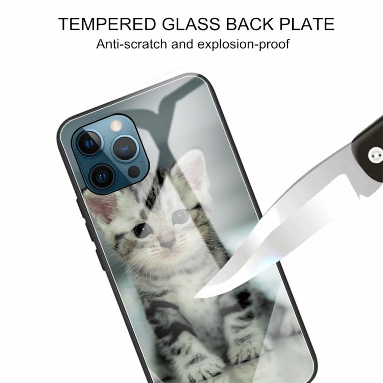 For iPhone 13 Pro Colorful Painted Glass Shockproof Protective Case