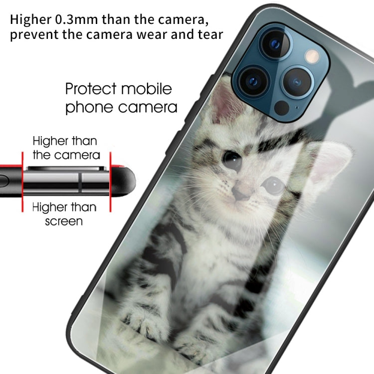 For iPhone 13 Pro Colorful Painted Glass Shockproof Protective Case