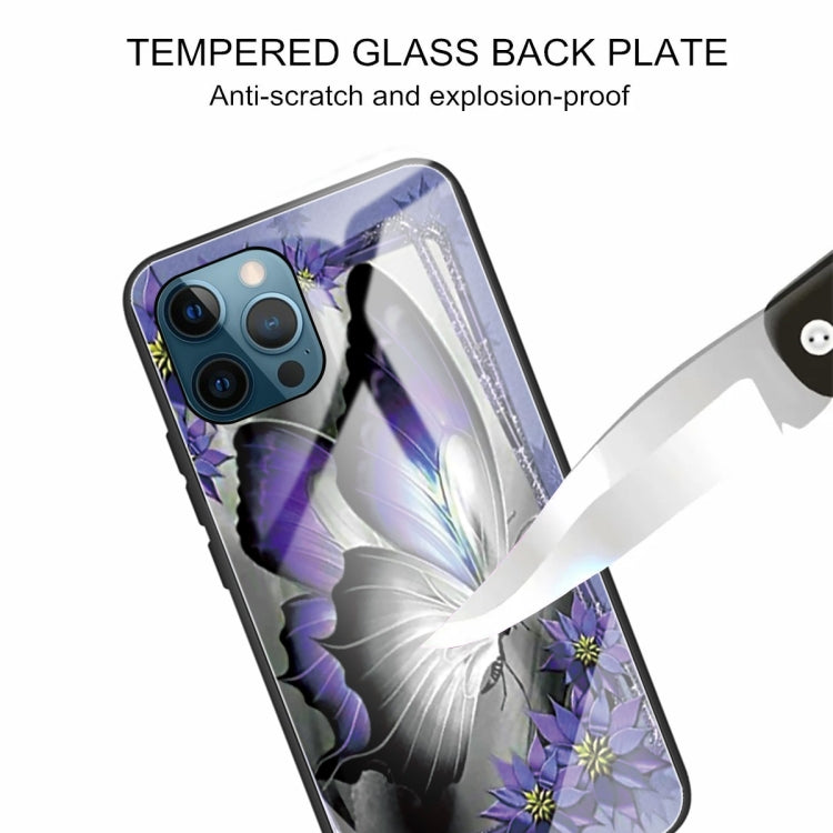 For iPhone 13 Pro Colorful Painted Glass Shockproof Protective Case