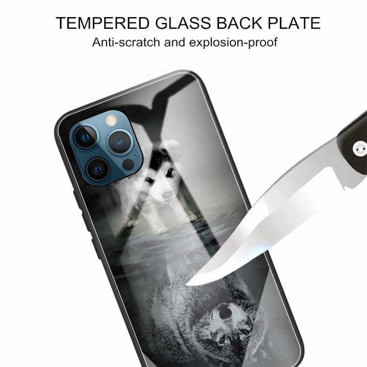 For iPhone 13 Pro Colorful Painted Glass Shockproof Protective Case