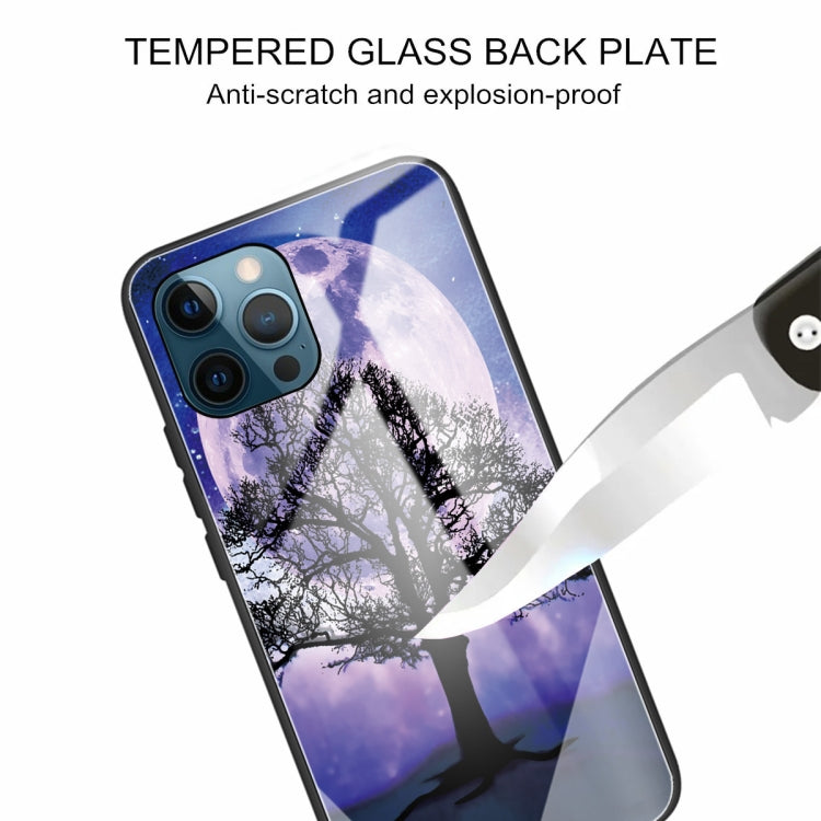 For iPhone 13 Pro Colorful Painted Glass Shockproof Protective Case