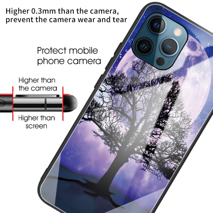 For iPhone 13 Pro Colorful Painted Glass Shockproof Protective Case