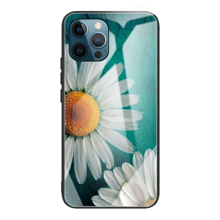 For iPhone 13 Pro Colorful Painted Glass Shockproof Protective Case
