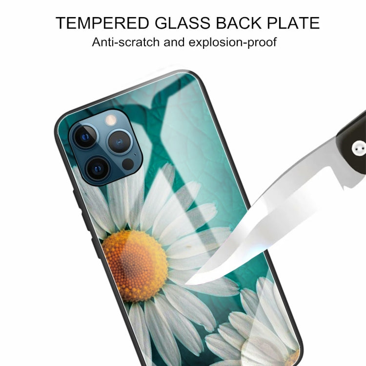 For iPhone 13 Pro Colorful Painted Glass Shockproof Protective Case