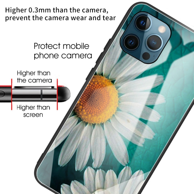For iPhone 13 Pro Colorful Painted Glass Shockproof Protective Case