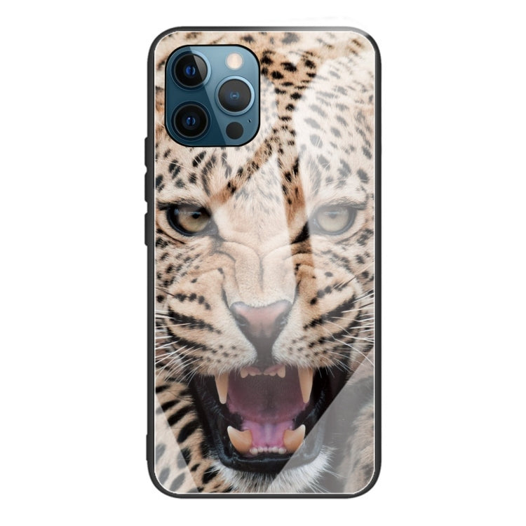 For iPhone 13 Pro Colorful Painted Glass Shockproof Protective Case