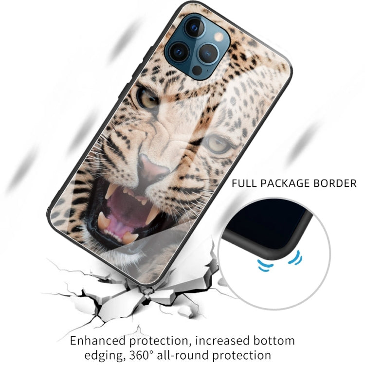 For iPhone 13 Pro Colorful Painted Glass Shockproof Protective Case