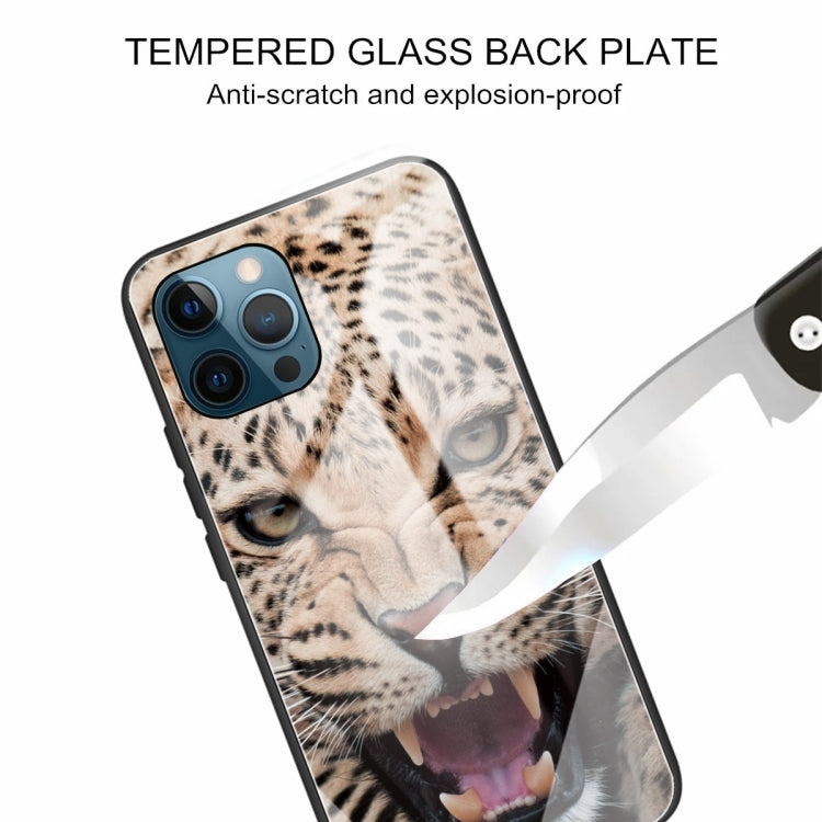 For iPhone 13 Pro Colorful Painted Glass Shockproof Protective Case