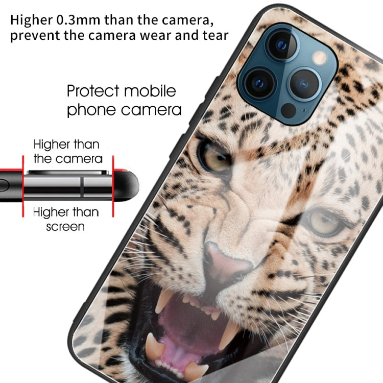 For iPhone 13 Pro Colorful Painted Glass Shockproof Protective Case