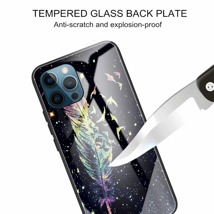 For iPhone 13 Pro Colorful Painted Glass Shockproof Protective Case