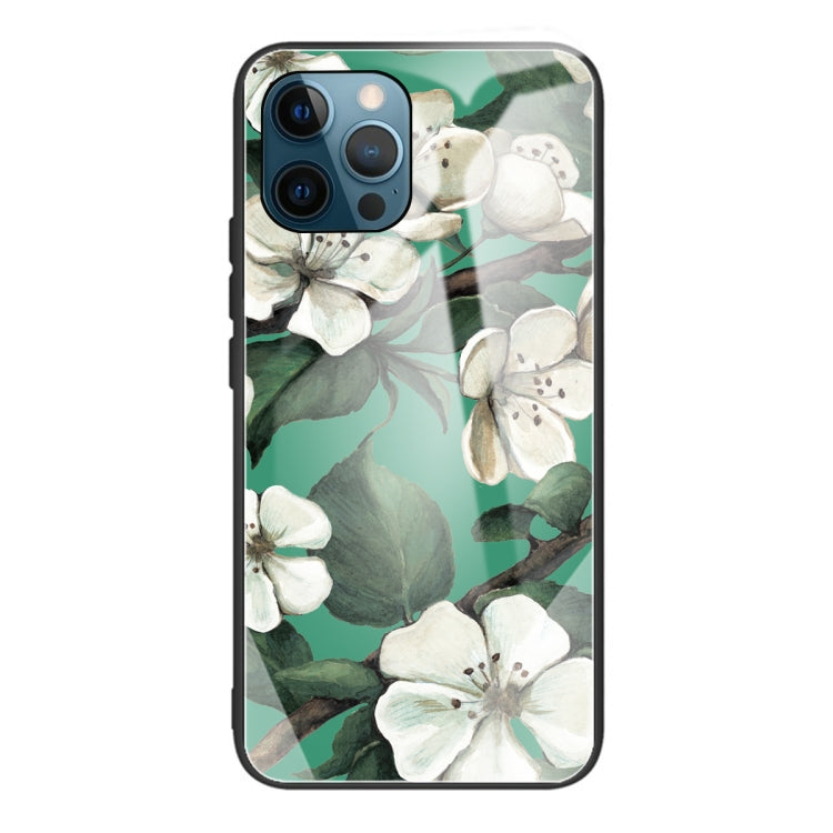 For iPhone 13 Pro Colorful Painted Glass Shockproof Protective Case
