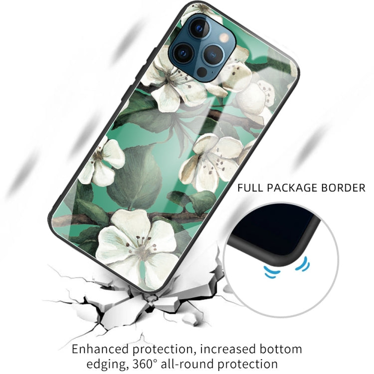 For iPhone 13 Pro Colorful Painted Glass Shockproof Protective Case