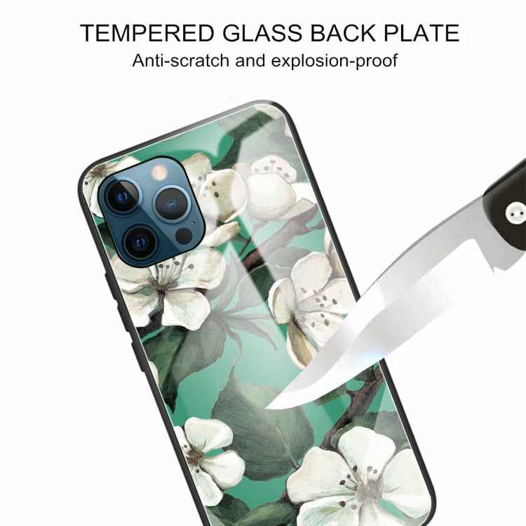 For iPhone 13 Pro Colorful Painted Glass Shockproof Protective Case