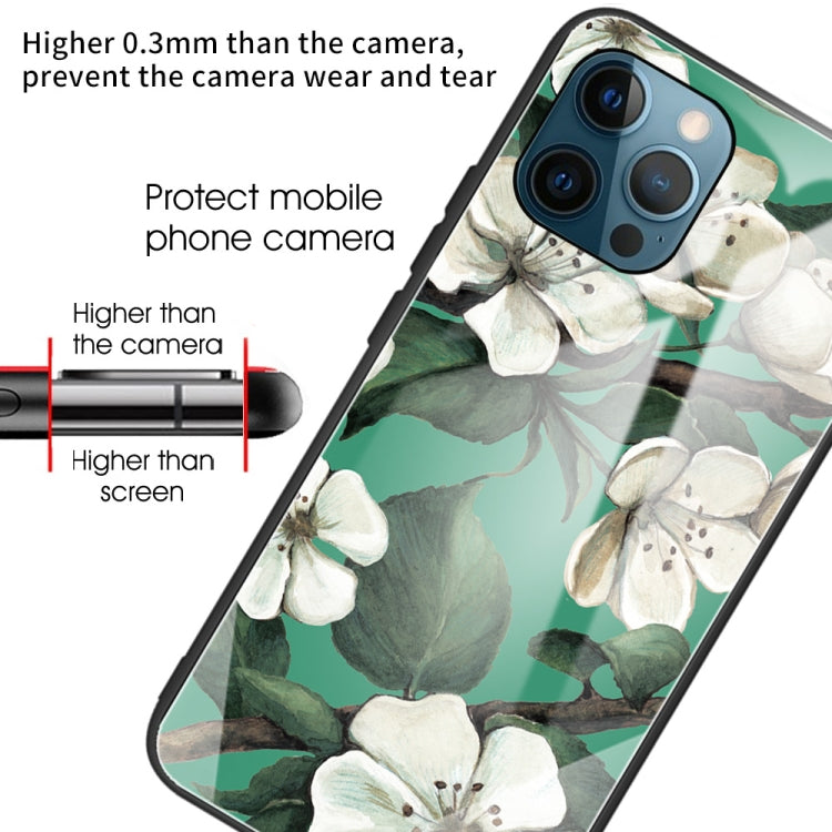 For iPhone 13 Pro Colorful Painted Glass Shockproof Protective Case
