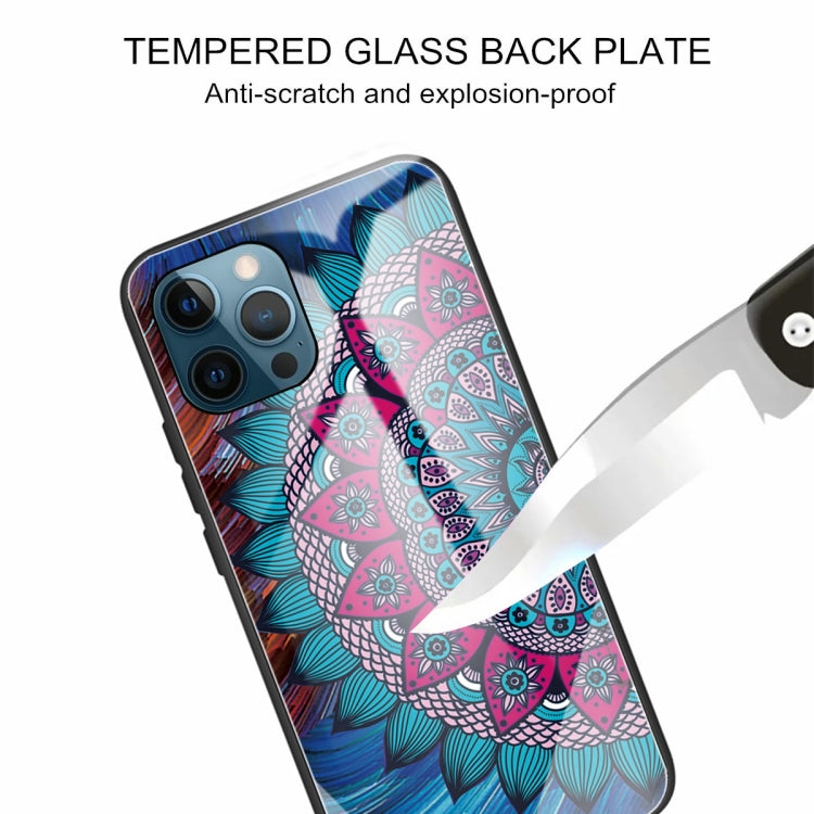 For iPhone 13 Pro Colorful Painted Glass Shockproof Protective Case