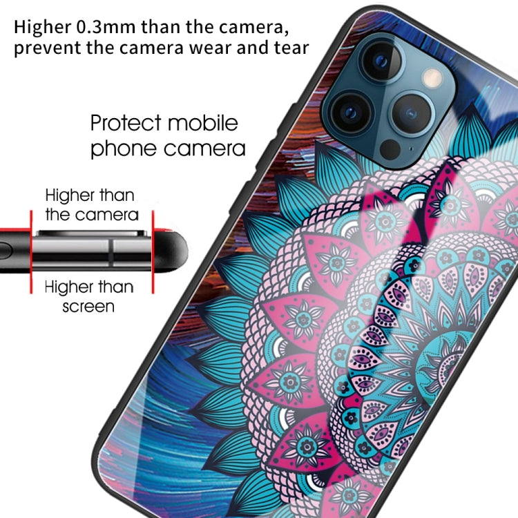 For iPhone 13 Pro Colorful Painted Glass Shockproof Protective Case