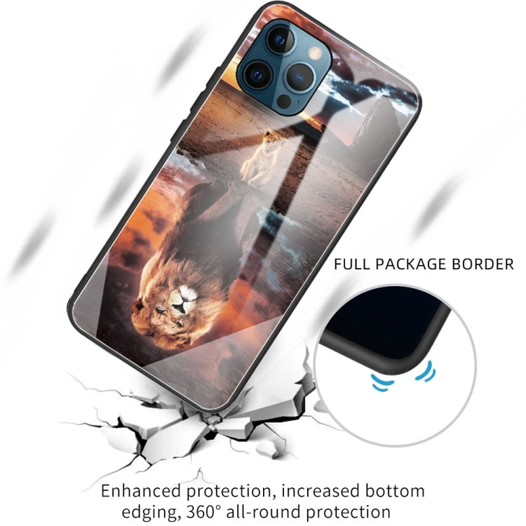 For iPhone 13 Pro Colorful Painted Glass Shockproof Protective Case