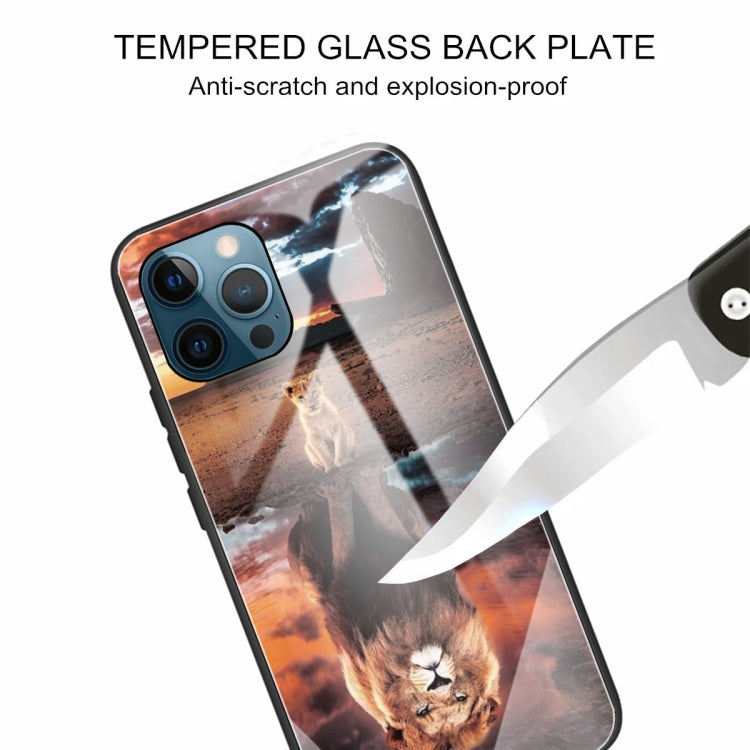 For iPhone 13 Pro Colorful Painted Glass Shockproof Protective Case