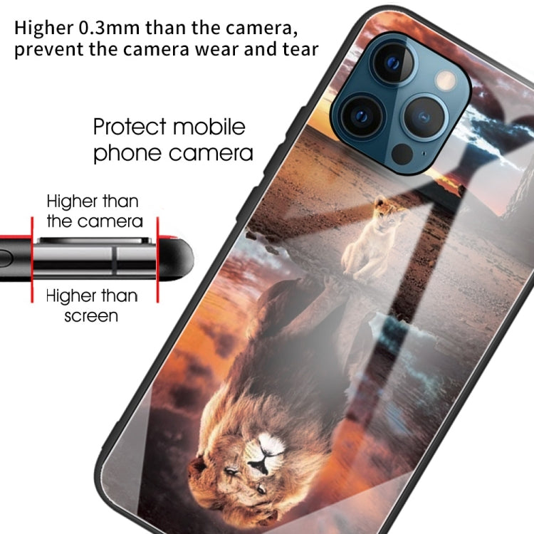 For iPhone 13 Pro Colorful Painted Glass Shockproof Protective Case