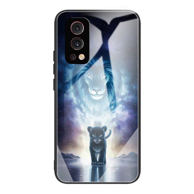 Colorful Painted Glass Shockproof Protective Case For OnePlus Nord 2 5G