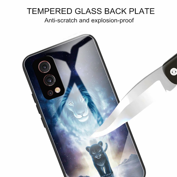 Colorful Painted Glass Shockproof Protective Case For OnePlus Nord 2 5G