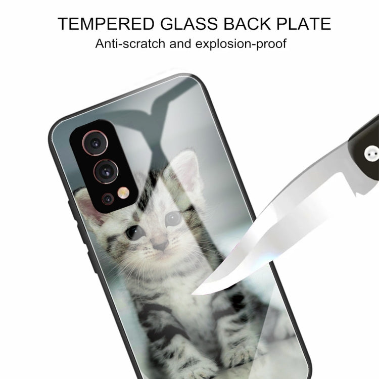 Colorful Painted Glass Shockproof Protective Case For OnePlus Nord 2 5G