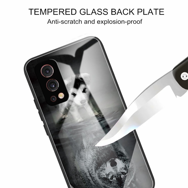 Colorful Painted Glass Shockproof Protective Case For OnePlus Nord 2 5G
