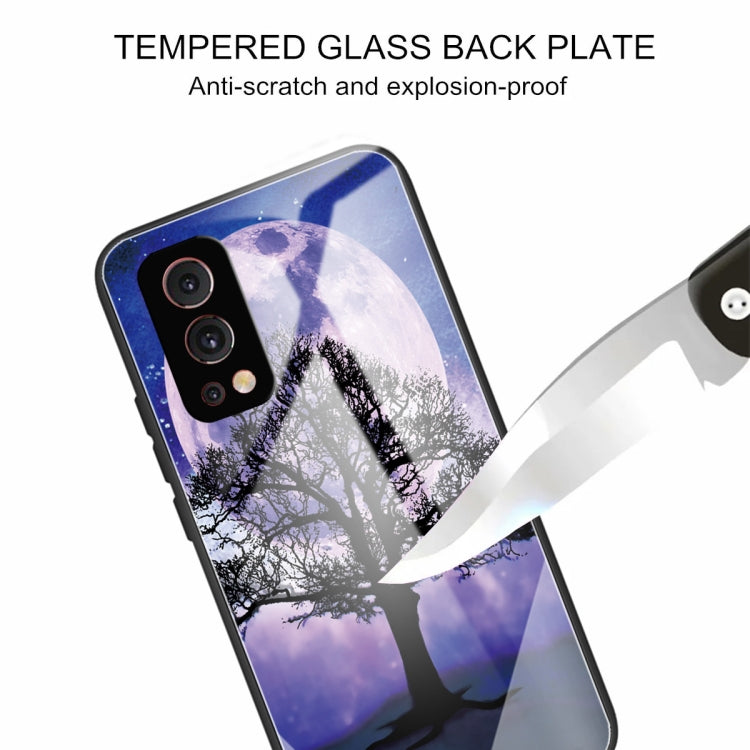 Colorful Painted Glass Shockproof Protective Case For OnePlus Nord 2 5G