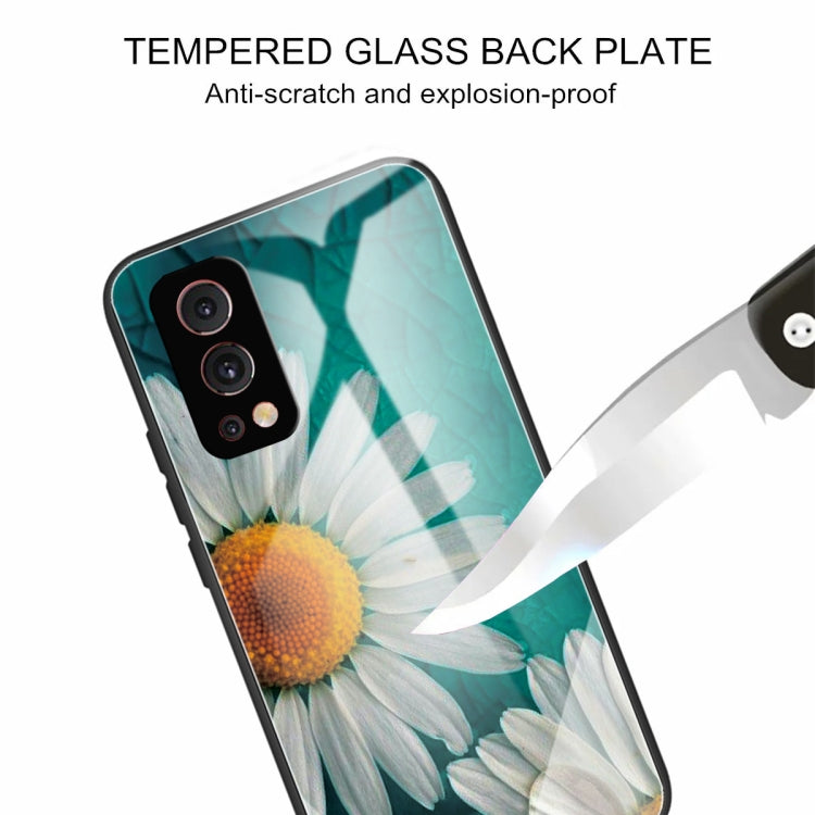 Colorful Painted Glass Shockproof Protective Case For OnePlus Nord 2 5G