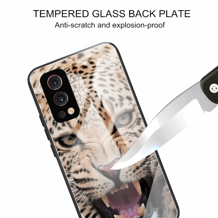 Colorful Painted Glass Shockproof Protective Case For OnePlus Nord 2 5G