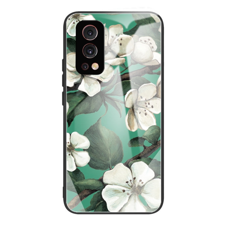 Colorful Painted Glass Shockproof Protective Case For OnePlus Nord 2 5G