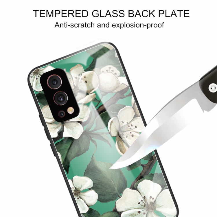Colorful Painted Glass Shockproof Protective Case For OnePlus Nord 2 5G