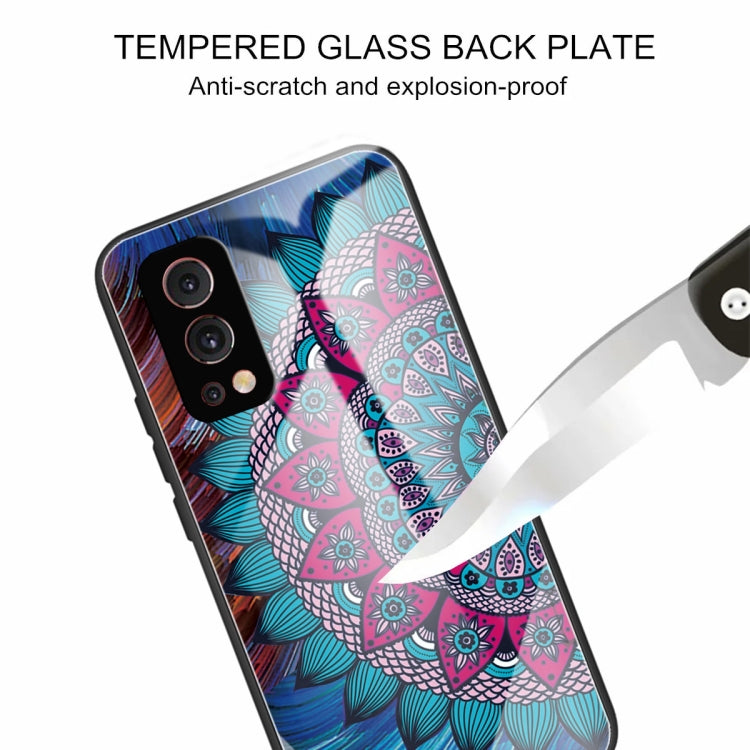 Colorful Painted Glass Shockproof Protective Case For OnePlus Nord 2 5G