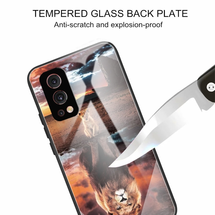 Colorful Painted Glass Shockproof Protective Case For OnePlus Nord 2 5G