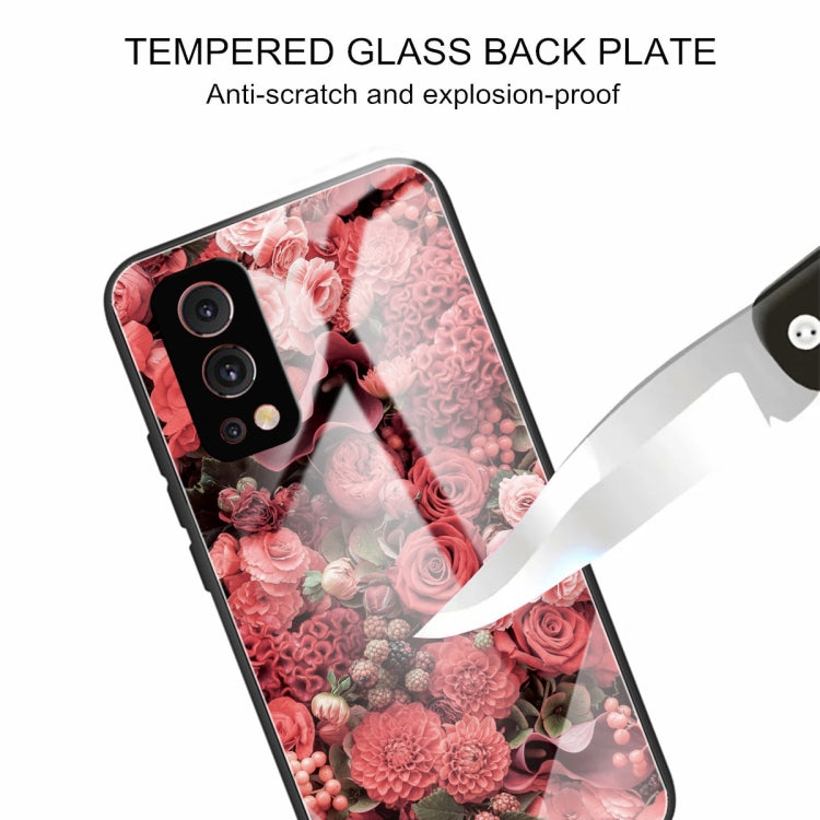 Colorful Painted Glass Shockproof Protective Case For OnePlus Nord 2 5G
