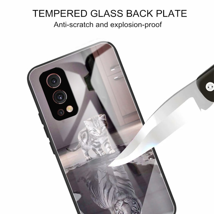 Colorful Painted Glass Shockproof Protective Case For OnePlus Nord 2 5G