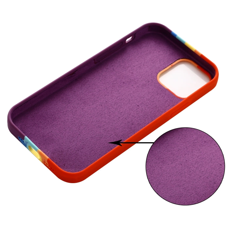 For iPhone 13 Pro Rainbow Liquid Silicone Shockproof Full Coverage Protective Case