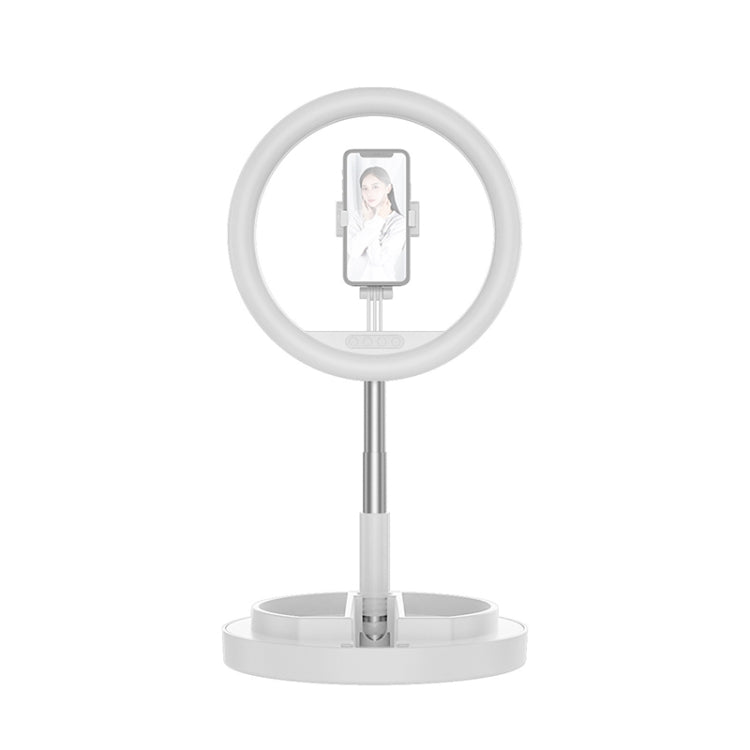 JM01 11 inch Single Position Fill Light Beauty Selfie Desktop Bracket Live Broadcast Integrated Floor LED Light