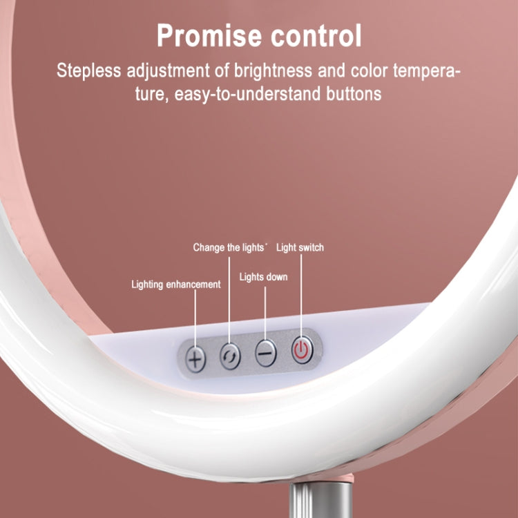 JM01 11 inch Single Position Fill Light Beauty Selfie Desktop Bracket Live Broadcast Integrated Floor LED Light