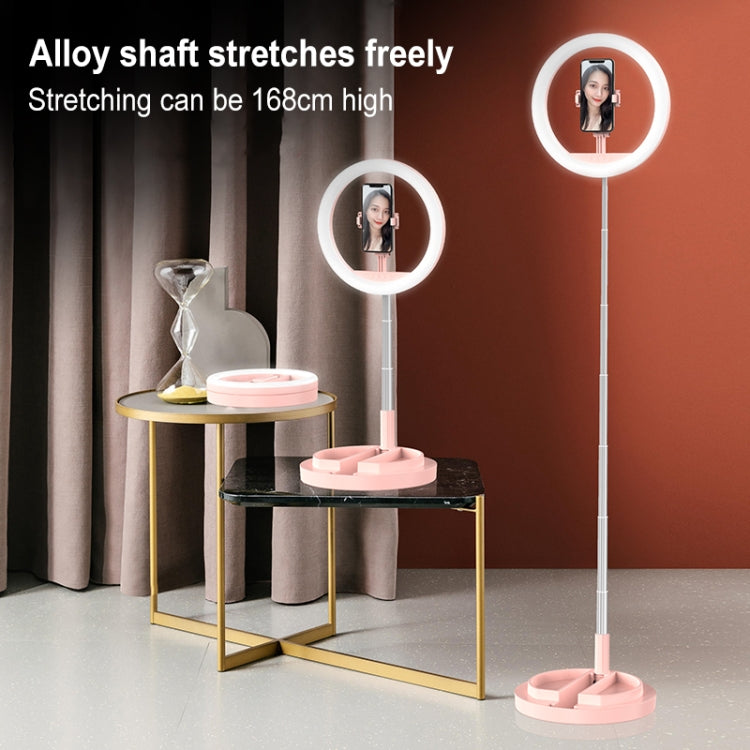 JM01 11 inch Single Position Fill Light Beauty Selfie Desktop Bracket Live Broadcast Integrated Floor LED Light