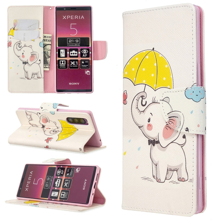 For Sony Xperia 5 /  XZ5 Colored Drawing Pattern Horizontal Flip Leather Case with Holder & Card Slots & Wallet