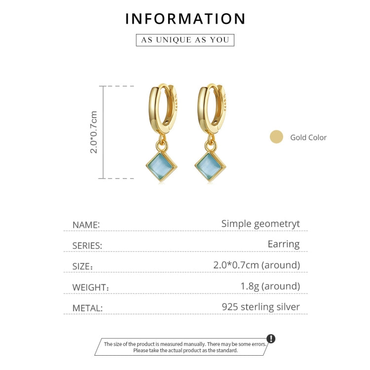S925 Sterling Silver Square Zircon Women Earrings