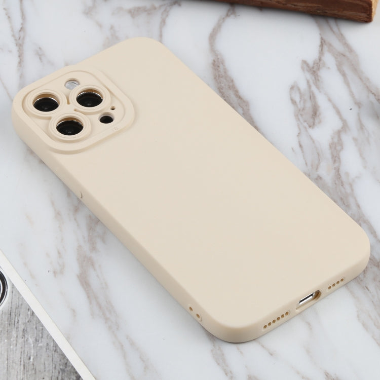 For iPhone 13 Pro Max TPU Oil-sprayed Soft Phone Case