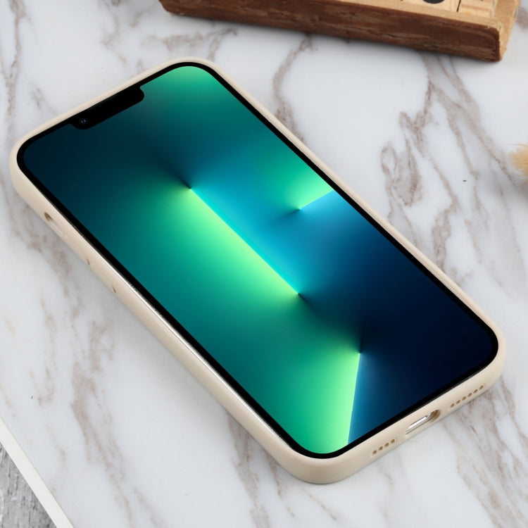 For iPhone 13 Pro Max TPU Oil-sprayed Soft Phone Case