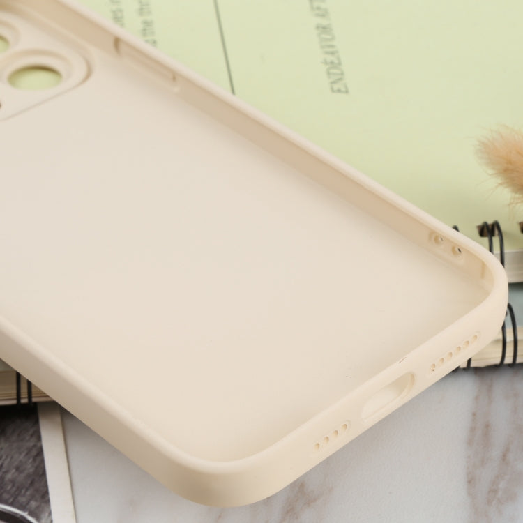 For iPhone 13 Pro Max TPU Oil-sprayed Soft Phone Case