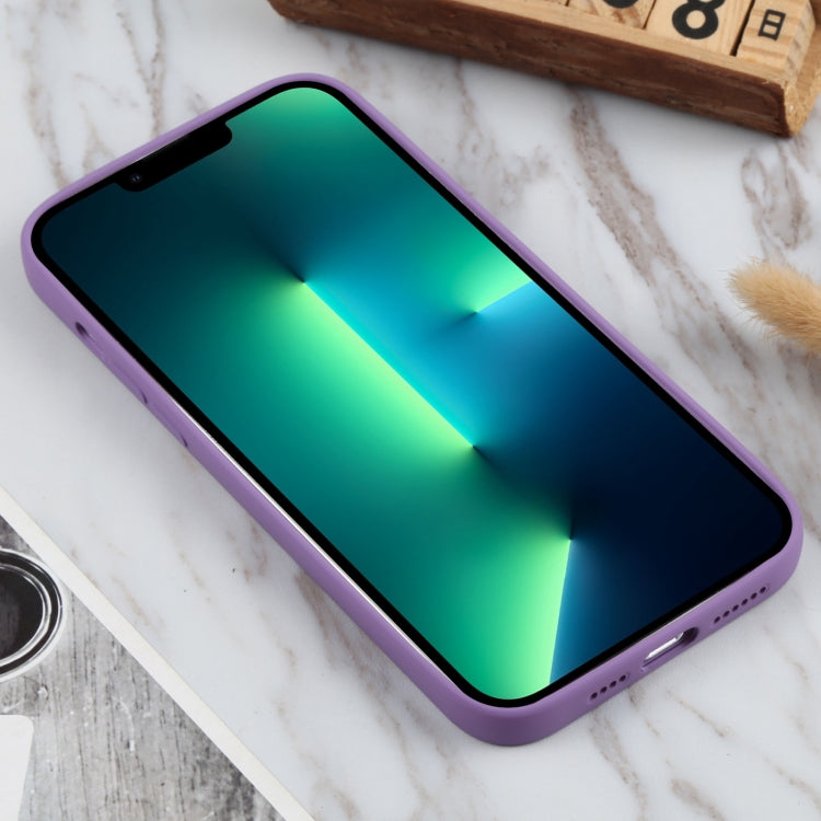 For iPhone 13 Pro Max TPU Oil-sprayed Soft Phone Case